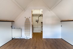 27 - Goudplevier 38 Waspik.JPG