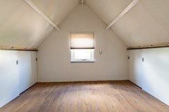 28 - Goudplevier 38 Waspik.JPG