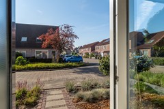 4 - Lijster 48 Sprang-Capelle.JPG