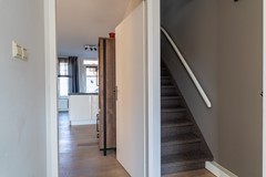 7 - Lijster 48 Sprang-Capelle.JPG