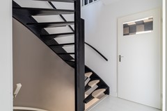 15 - Lijster 48 Sprang-Capelle.JPG