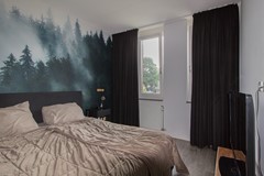 16- Dorsvlegel 1 De Moer.jpg