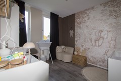 17- Dorsvlegel 1 De Moer.jpg