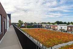 10 - Nieuwe Es 57 Sleeuwijk.JPG