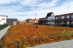 11 - Nieuwe Es 57 Sleeuwijk.JPG