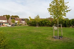 6 - Regge 3 Kaatsheuvel.JPG