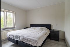 19 - Goudplevier 14 Waspik.JPG