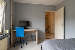 22 - Goudplevier 14 Waspik.JPG