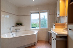 24 - Goudplevier 14 Waspik.JPG