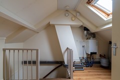 27 - Goudplevier 14 Waspik.JPG