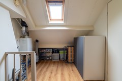 29 - Goudplevier 14 Waspik.JPG