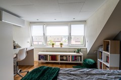 31 - Goudplevier 14 Waspik.JPG