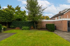 36 - Goudplevier 14 Waspik.JPG