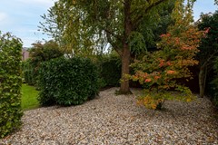 8 - Tureluur 15 Waspik Tuin.JPG