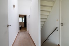 37 - Tureluur 15 Waspik Overloop.JPG