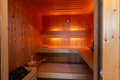 42 - Tureluur 15 Waspik Saune.JPG