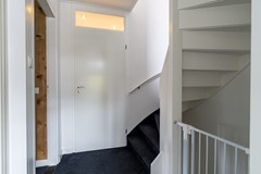 13 - Papaver 23 Werkendam.JPG