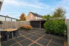 28 - Papaver 23 Werkendam.JPG