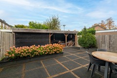 29 - Papaver 23 Werkendam.JPG