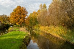 3 - Burg. vd. Klokkenaan 47 Waalwijk.JPG