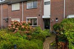 3 - Kamille 23 Sprang-Capelle.JPG