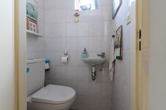 6 - Kamille 23 Sprang-Capelle.JPG