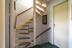 14 - Kamille 23 Sprang-Capelle.JPG