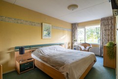 15 - Kamille 23 Sprang-Capelle.JPG