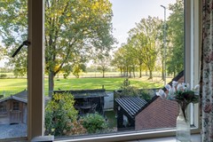 16 - Kamille 23 Sprang-Capelle.JPG