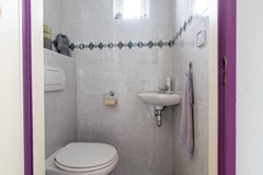 5 - Kamille 15 Sprang-Capelle.JPG