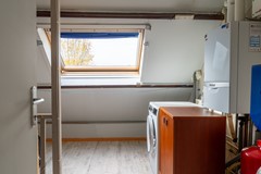 21 - Kamille 15 Sprang-Capelle.JPG