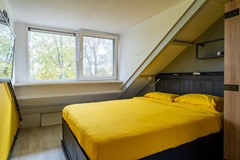 22 - Kamille 15 Sprang-Capelle.JPG