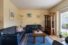 15 - Panakker 2 Kaatsheuvel.JPG