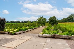 27 - Willem van Gentsvaart 40 Sprang-Capelle  Tuin.JPG