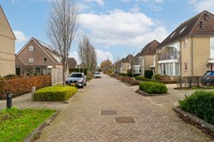 3 - Vlinderslag 52 Almkerk.JPG