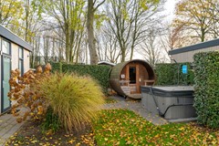 19 - Zaaiwaard 3-91 Aalst.JPG