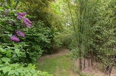 7- Benedenkerkstraat 87 Waspik.jpg