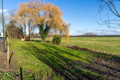 6 - Korn 22 Dussen.JPG