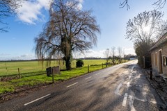 5 - Korn 22 Dussen.JPG