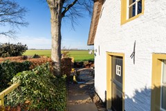 50 - Korn 27 Dussen.JPG