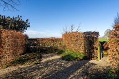 56 - Korn 27 Dussen.JPG