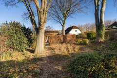 57 - Korn 27 Dussen.JPG