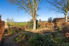 58 - Korn 27 Dussen.JPG