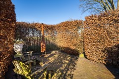 59 - Korn 27 Dussen.JPG