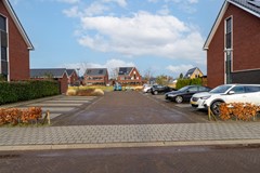 3 - Gulderling 18 Andel.JPG