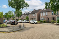 3. Hoefblad 56 Best.jpg