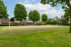 4. Hoefblad 56 Best.jpg
