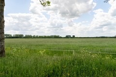 4 - Weitjesweg 58 Brakel.JPG