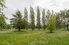 Nieuw in verkoop:Mgr. Bekkersstraat 50, 5146 DV Waalwijk - Foto