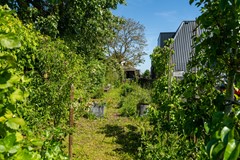 38. Burg. vd Schansstraat 16 Andel.jpg
